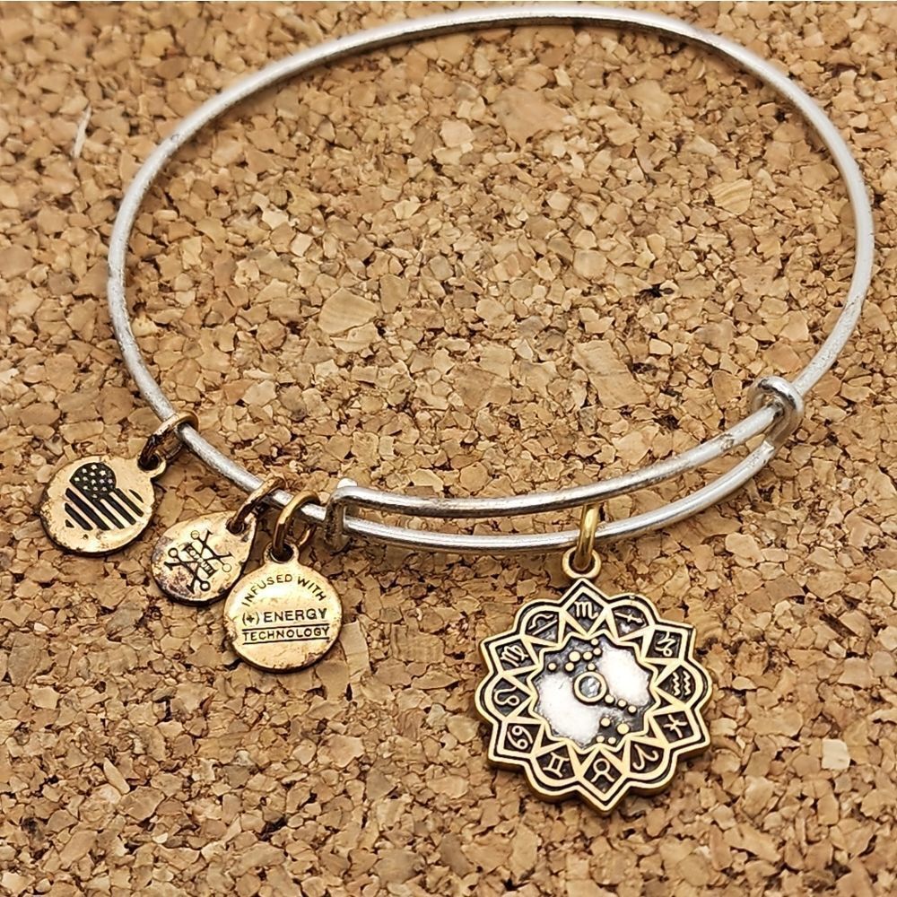 5/$21 ❤️ ALEX & ANI SILVER AND GOLD SCORPIO EXPANDABLE BANGLE CHARM BRACELET